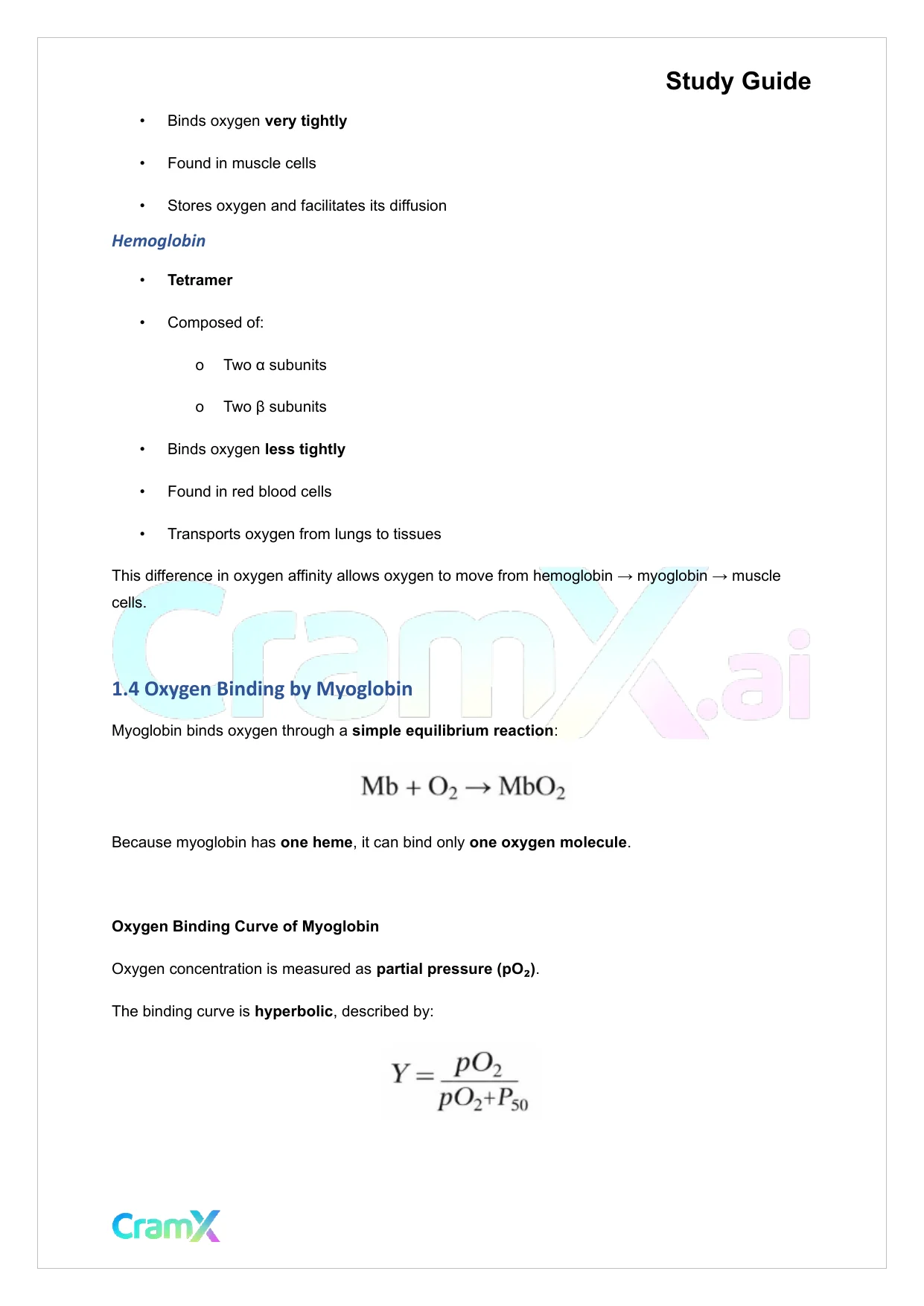 Biochemistry I - Oxygen Binding by Myoglobin and Hemoglobin - Page 3 preview image