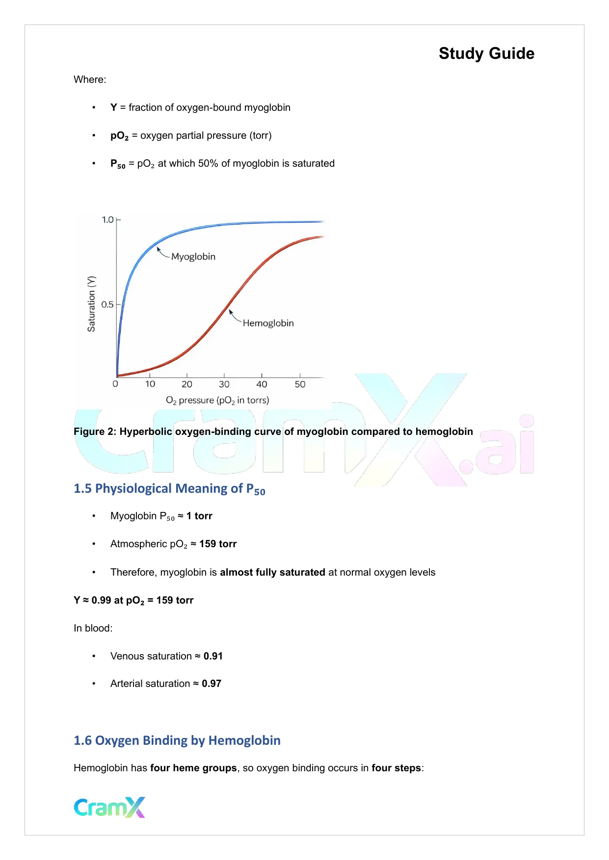 Biochemistry I - Oxygen Binding by Myoglobin and Hemoglobin - Page 4 preview image