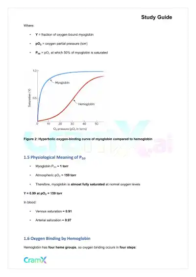 Biochemistry I - Oxygen Binding by Myoglobin and Hemoglobin - Page 4 preview image