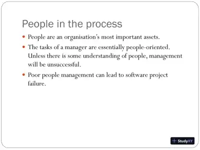 Software Improvement Plan Using People Capability Maturity Model - Page 3 preview image