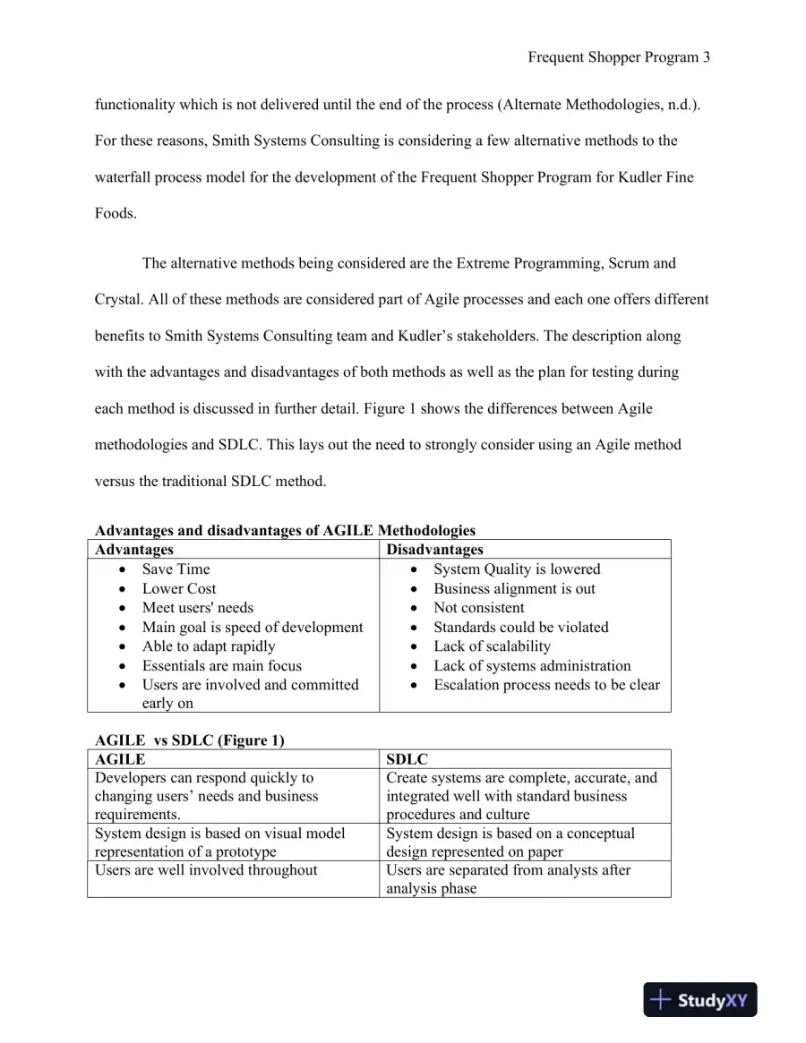 BSA385 � Introduction to Software Engineering : Frequent Shopper Program, page 4