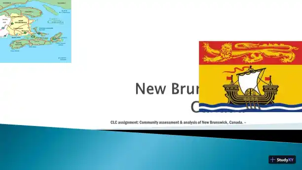 New Brunswick, Canada CLC Assignment: Community Assessment & Analysis - Page 1 preview image