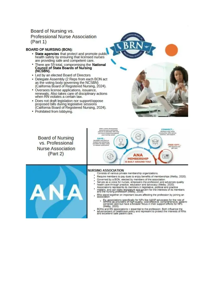 Regulation for Nursing Practice, page 2