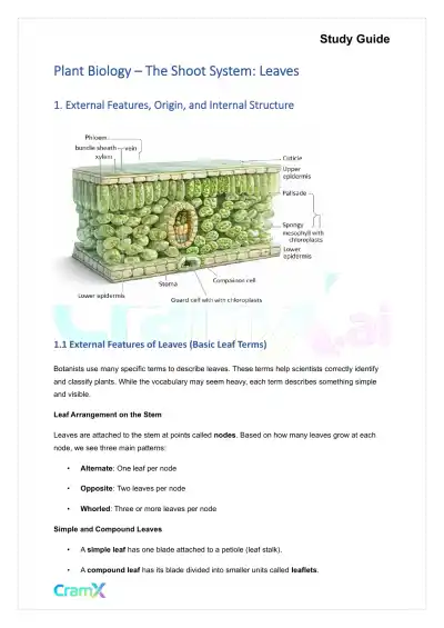 Plant Biology - The Shoot System Leaves - Page 1 preview image