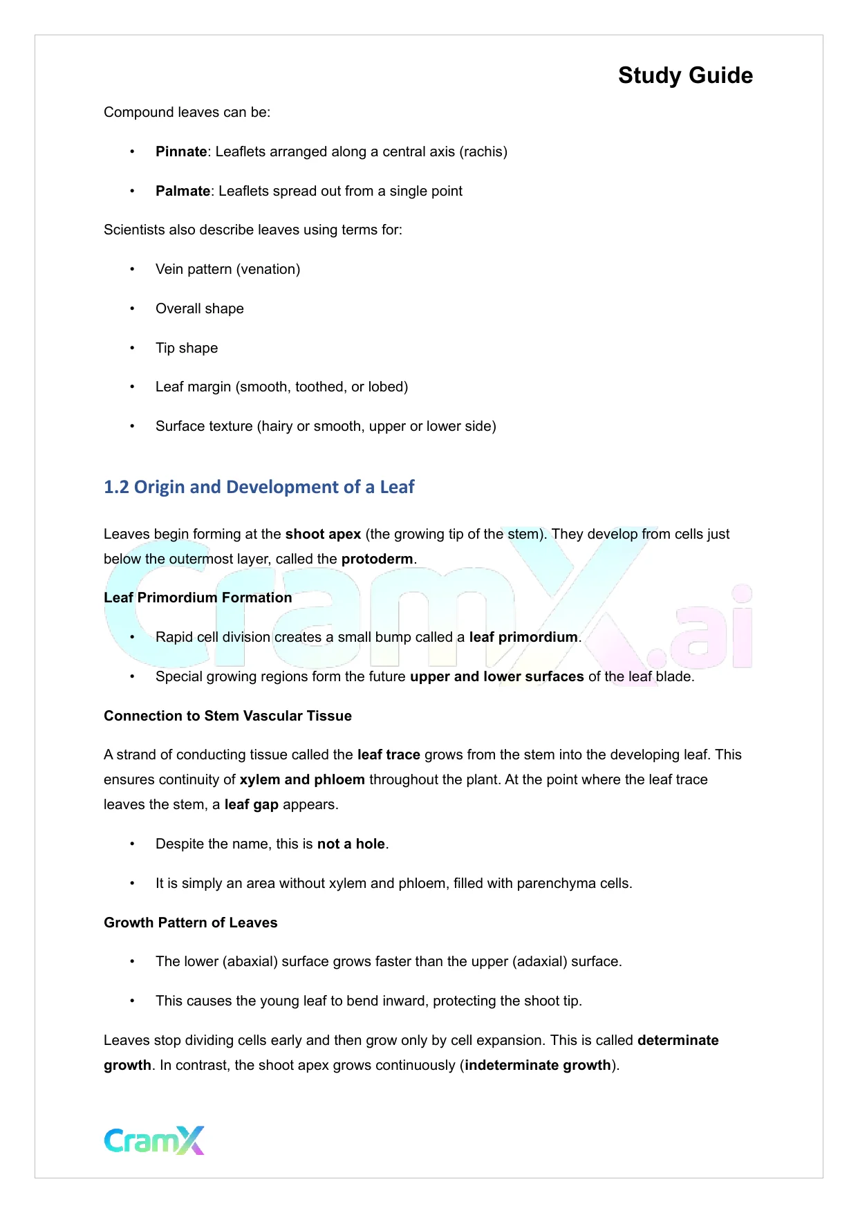 Plant Biology - The Shoot System Leaves - Page 2 preview image