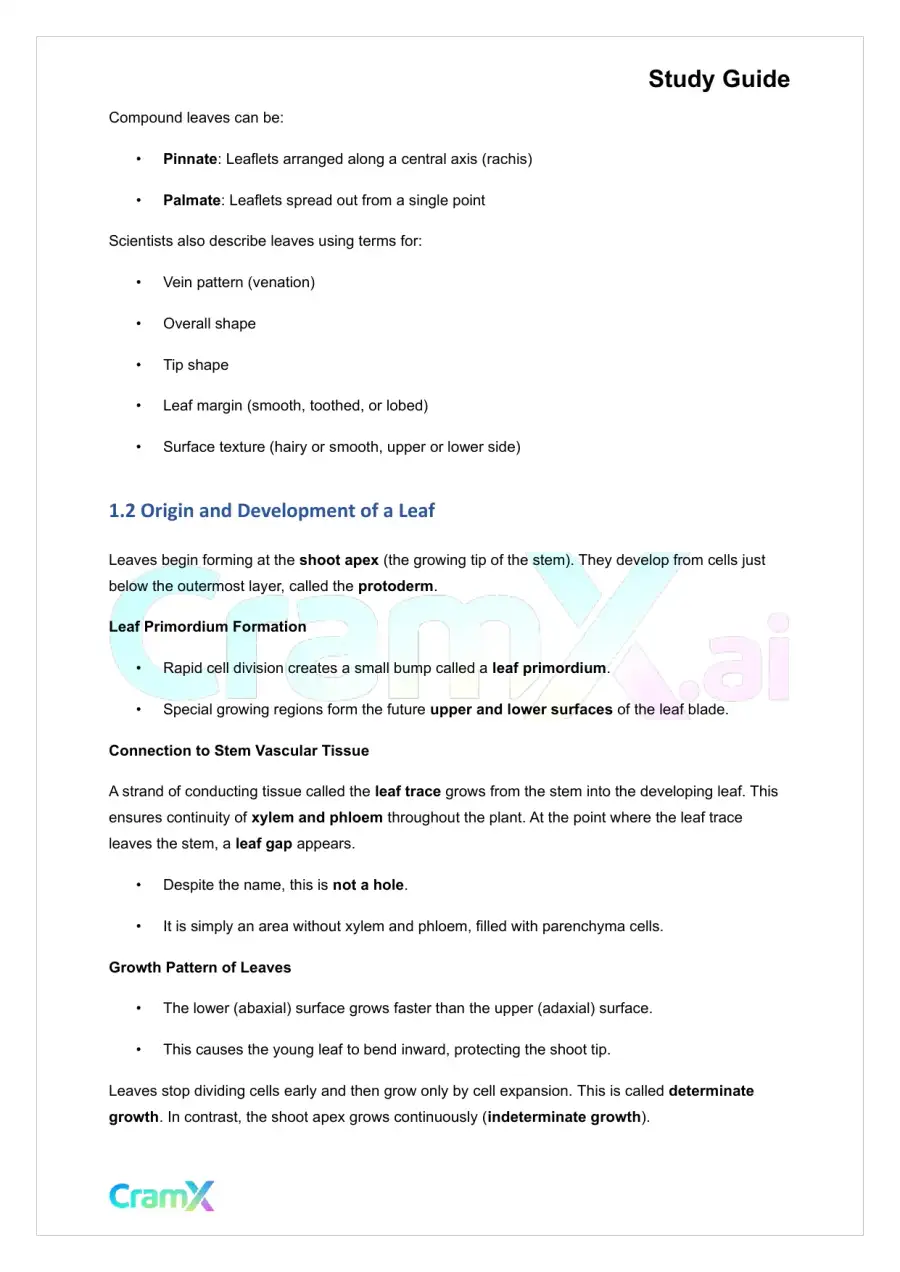 Plant Biology - The Shoot System Leaves, page 2