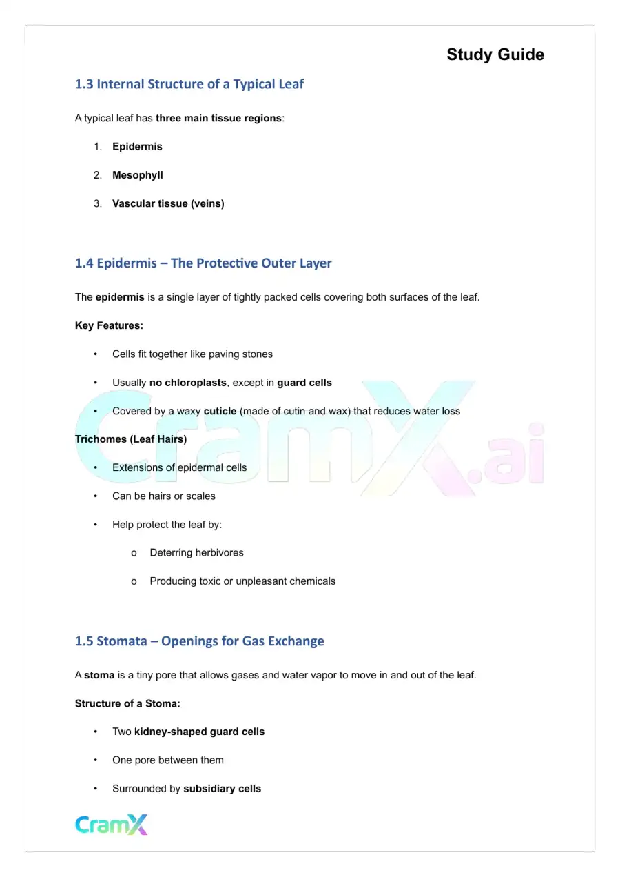 Plant Biology - The Shoot System Leaves, page 3