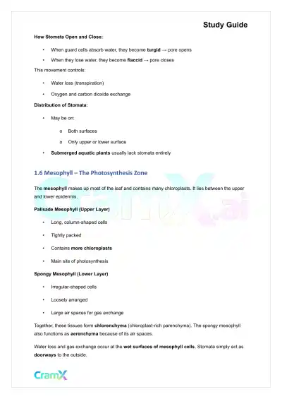 Plant Biology - The Shoot System Leaves - Page 4 preview image