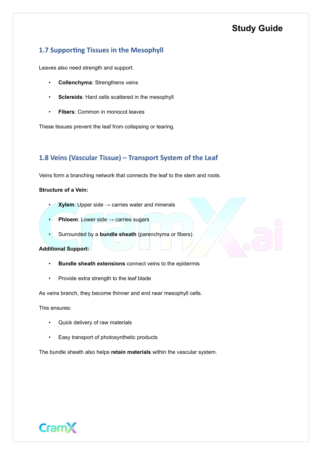 Plant Biology - The Shoot System Leaves - Page 5 preview image