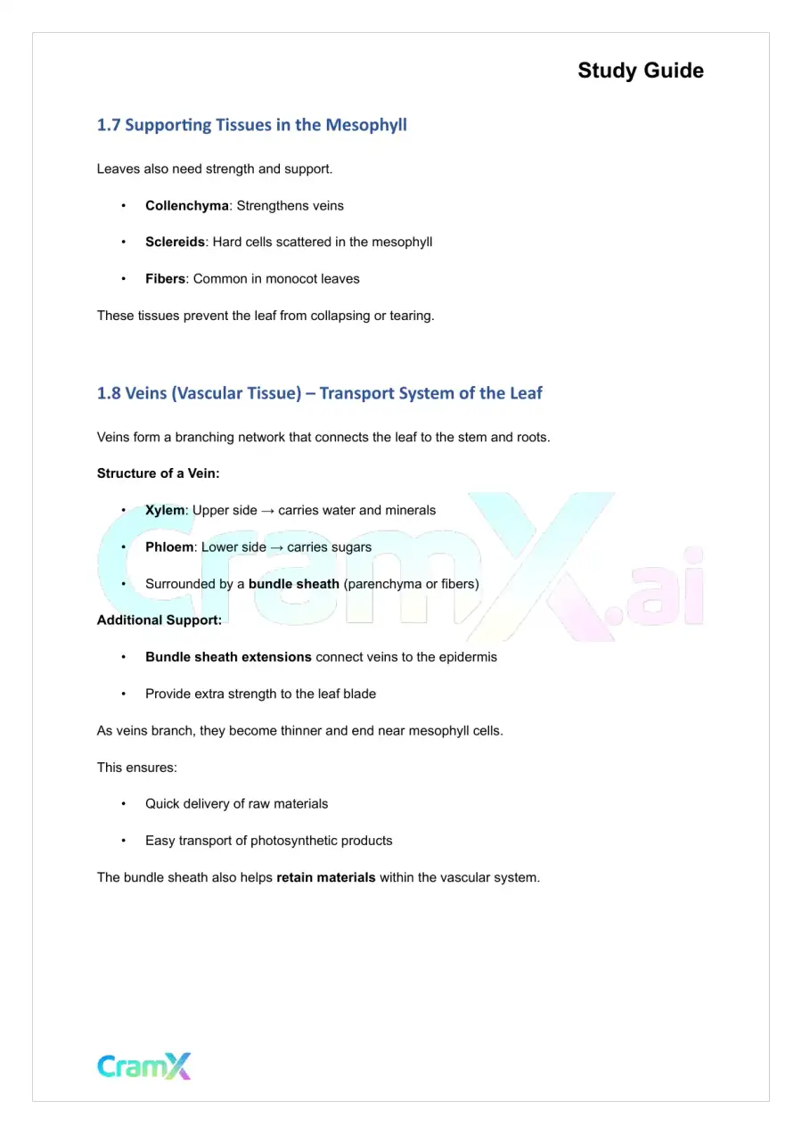 Plant Biology - The Shoot System Leaves, page 5
