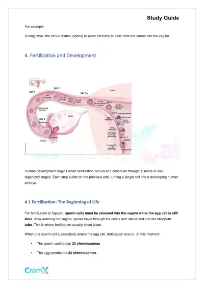 Biology - Reproduction - Page 5 preview image