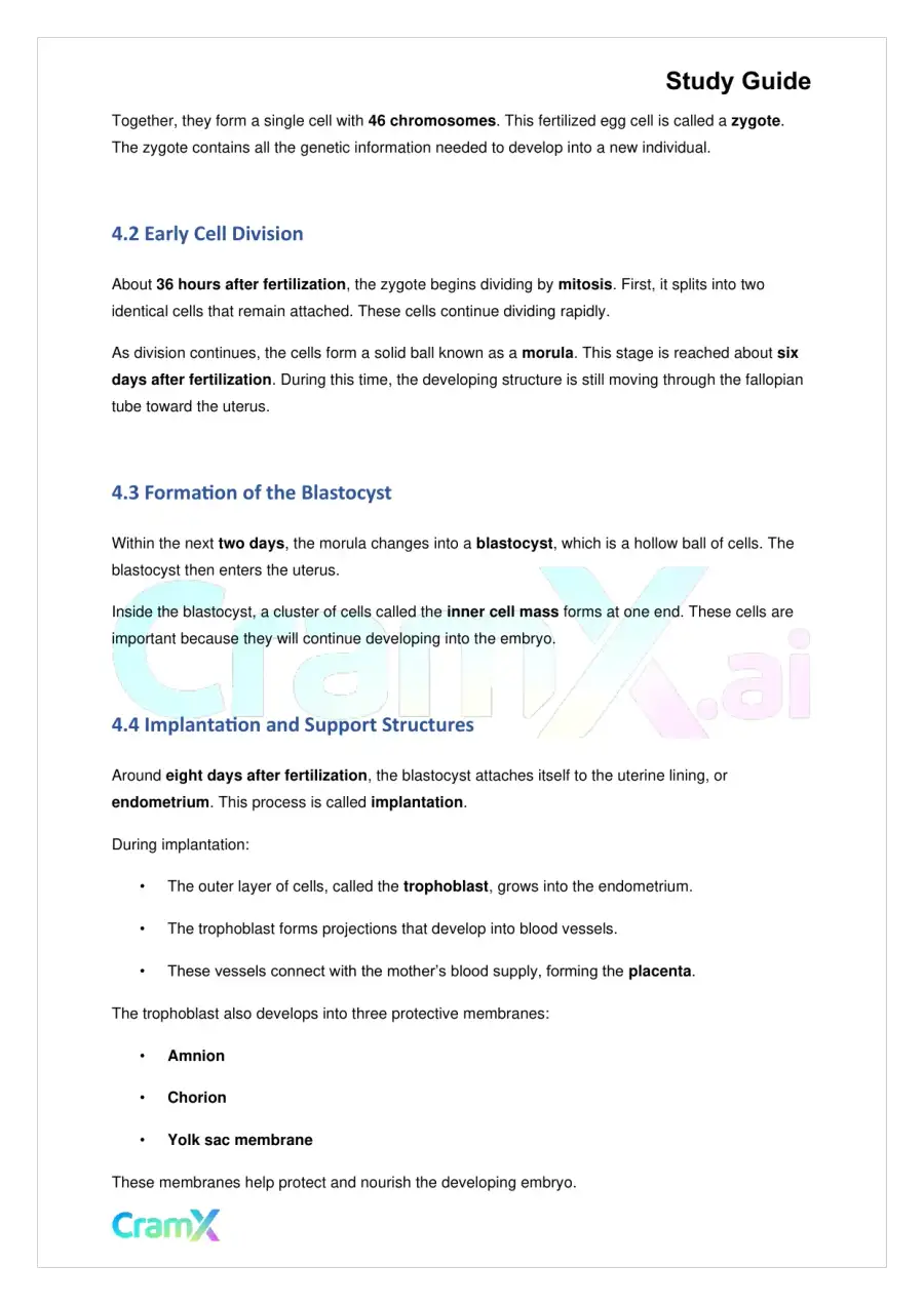Biology - Reproduction, page 6
