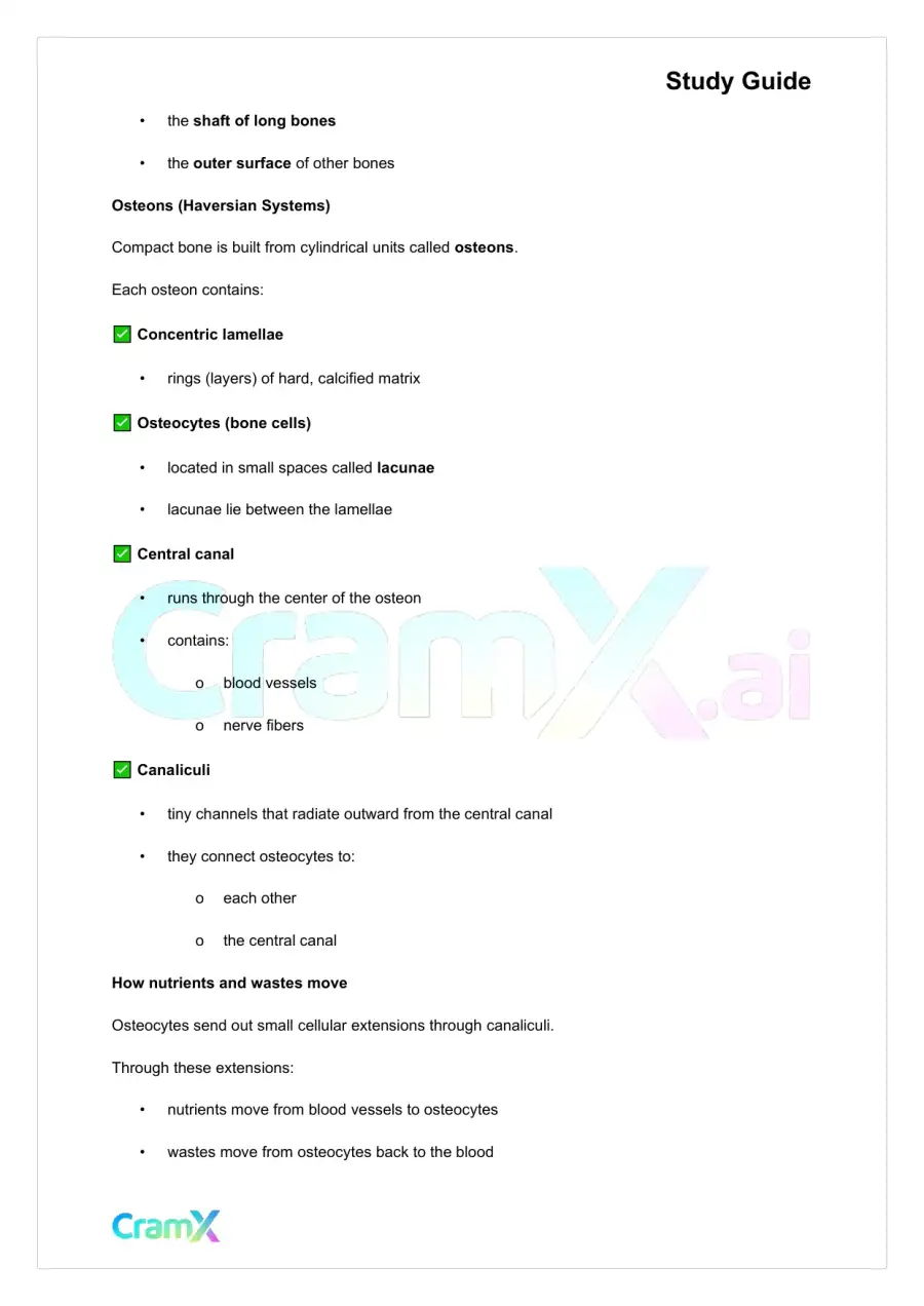 Anatomy and Physiology - Bones and Skeletal Tissues, page 4