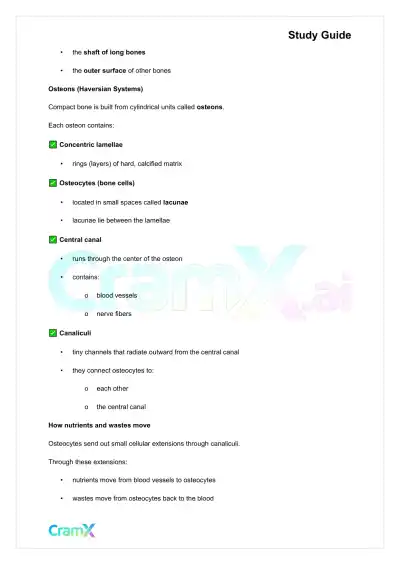 Anatomy and Physiology - Bones and Skeletal Tissues - Page 4 preview image