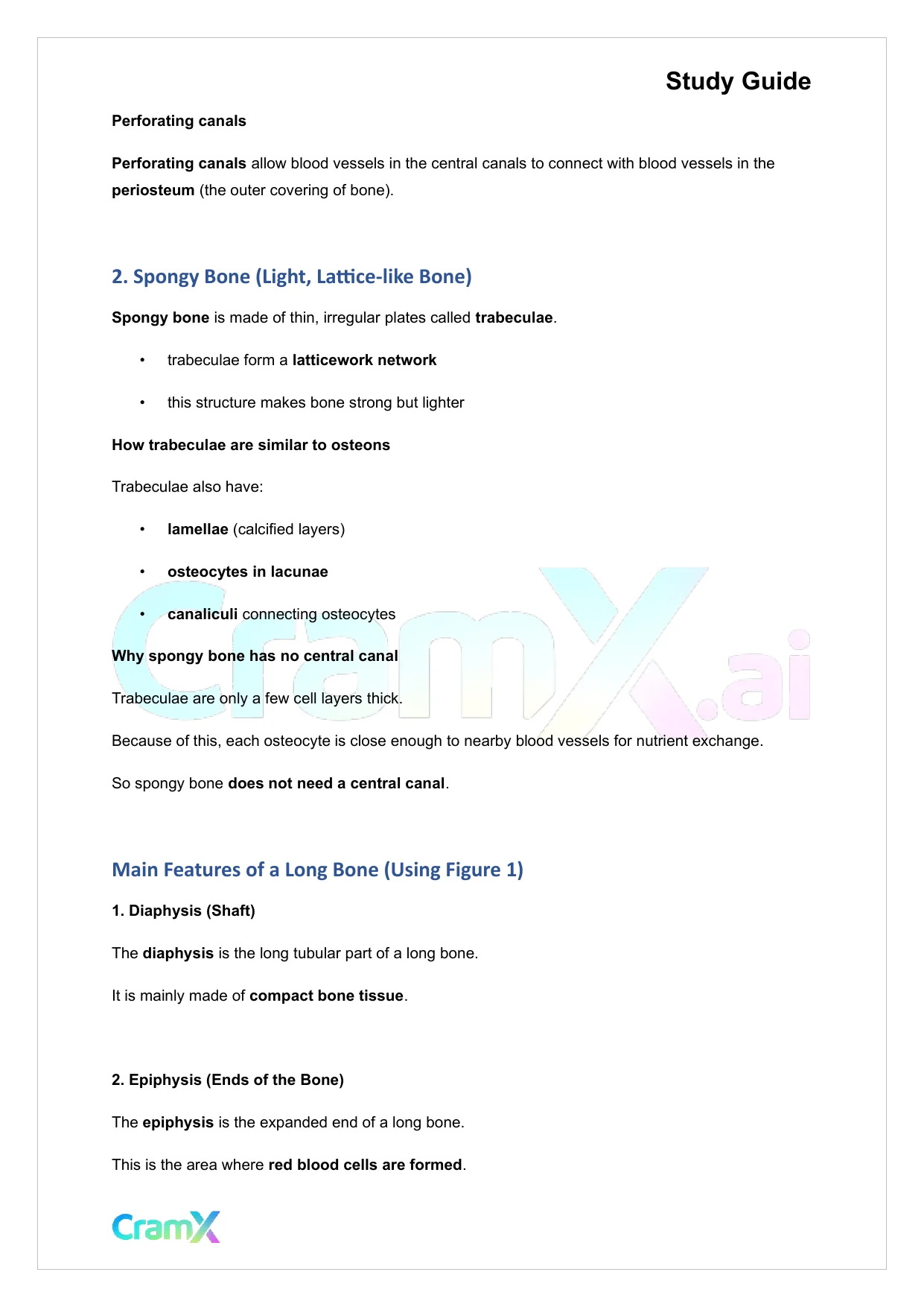 Anatomy and Physiology - Bones and Skeletal Tissues - Page 5 preview image