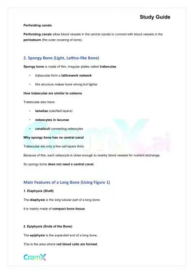 Anatomy and Physiology - Bones and Skeletal Tissues - Page 5 preview image