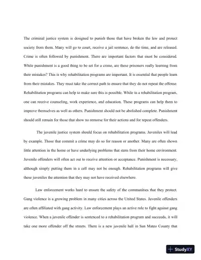 Justice System Position Paper - Page 3 preview image