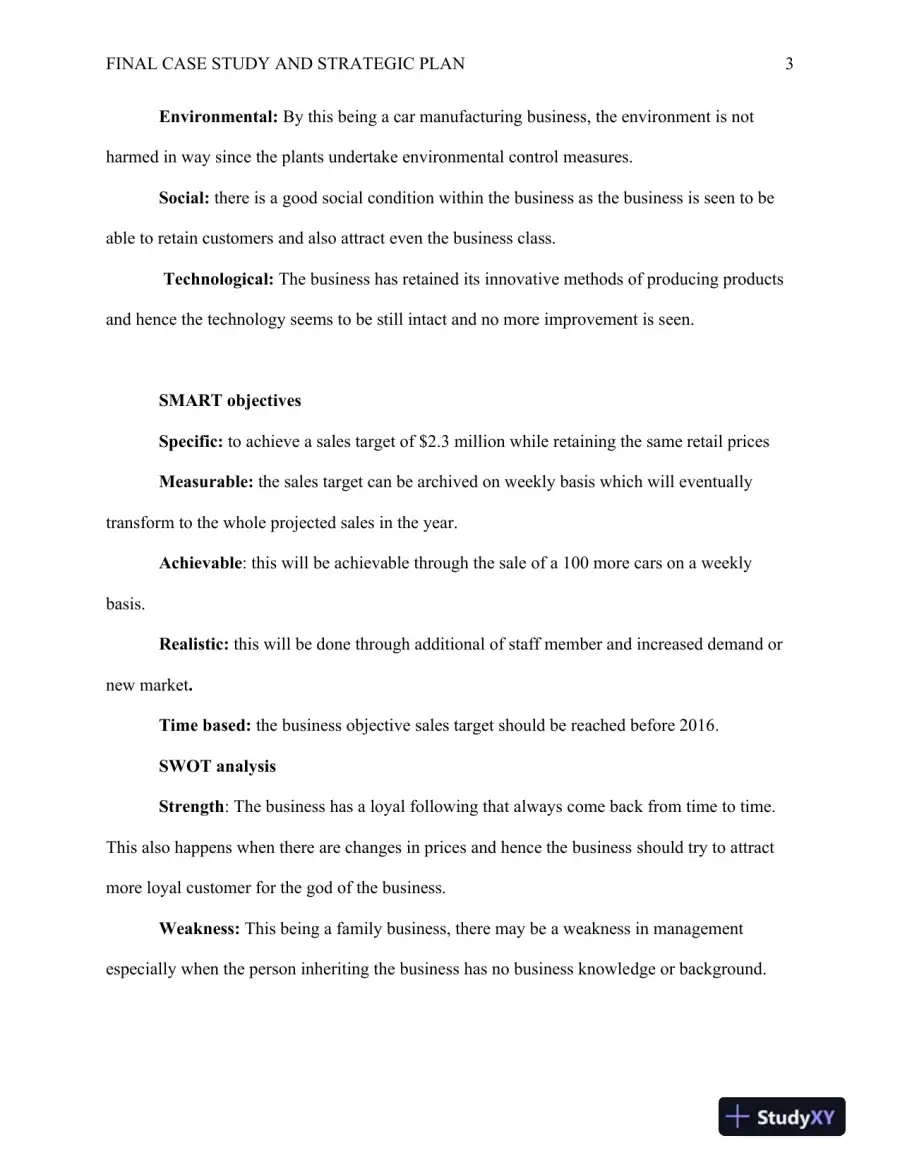 Final Case Study and Strategic Plan, page 4