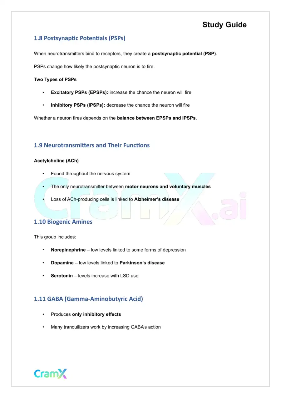 Psychology - Psychology Biological Bases of Behavior, page 4