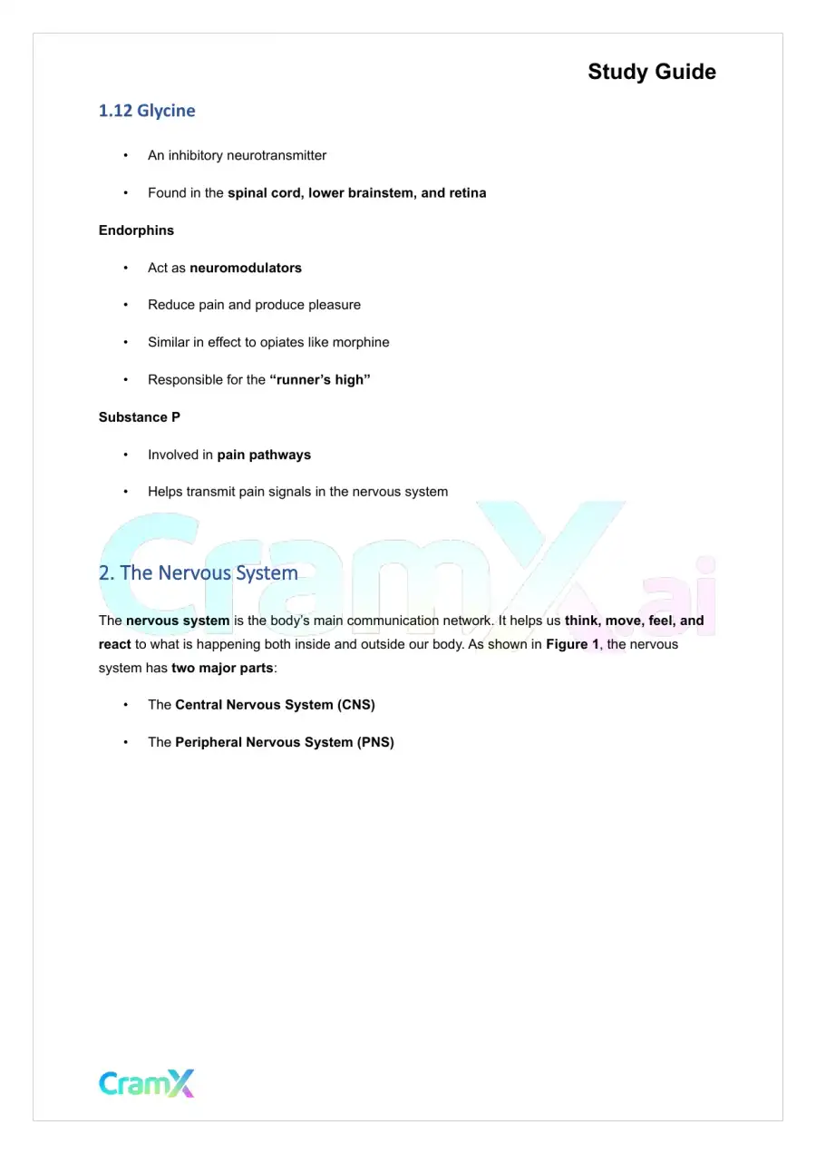 Psychology - Psychology Biological Bases of Behavior, page 5