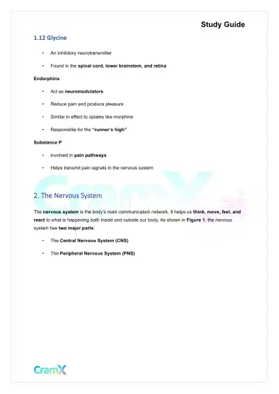 Psychology - Psychology Biological Bases of Behavior - Page 5 preview image