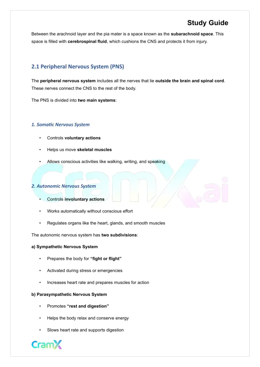 Psychology - Psychology Biological Bases of Behavior, page 7