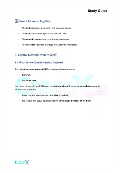 Psychology - Psychology Biological Bases of Behavior - Page 8 preview image