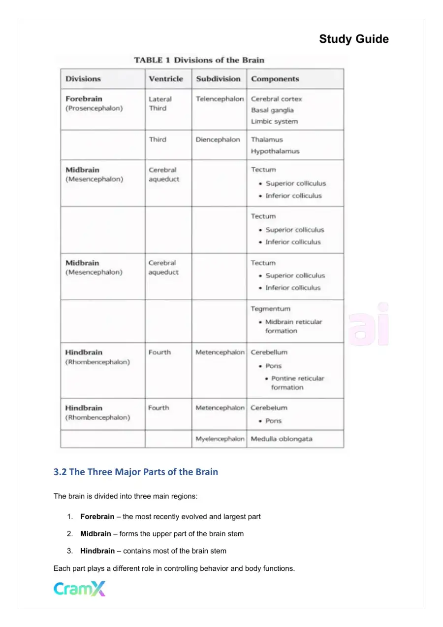 Psychology - Psychology Biological Bases of Behavior, page 9