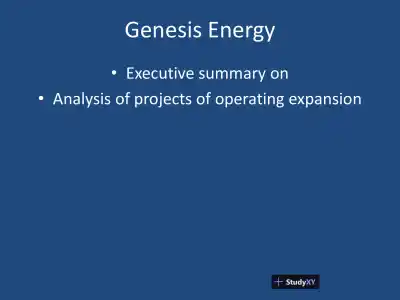 Genesis Energy - Executive Summary On Analysis Of Projects Of Operating Expansion - Page 1 preview image