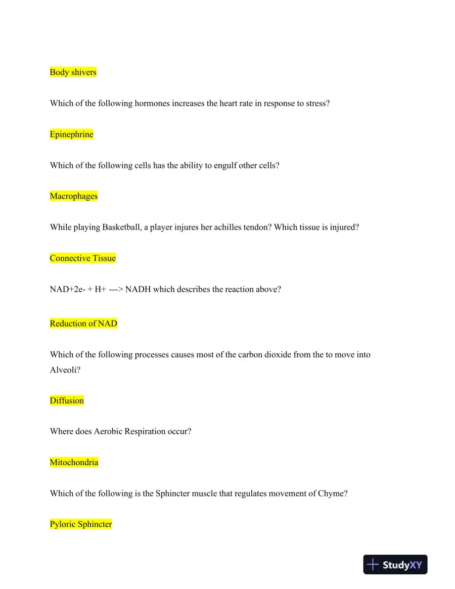 ATI Comprehensive TEAS With Answers (500 Solved Questions), page 13