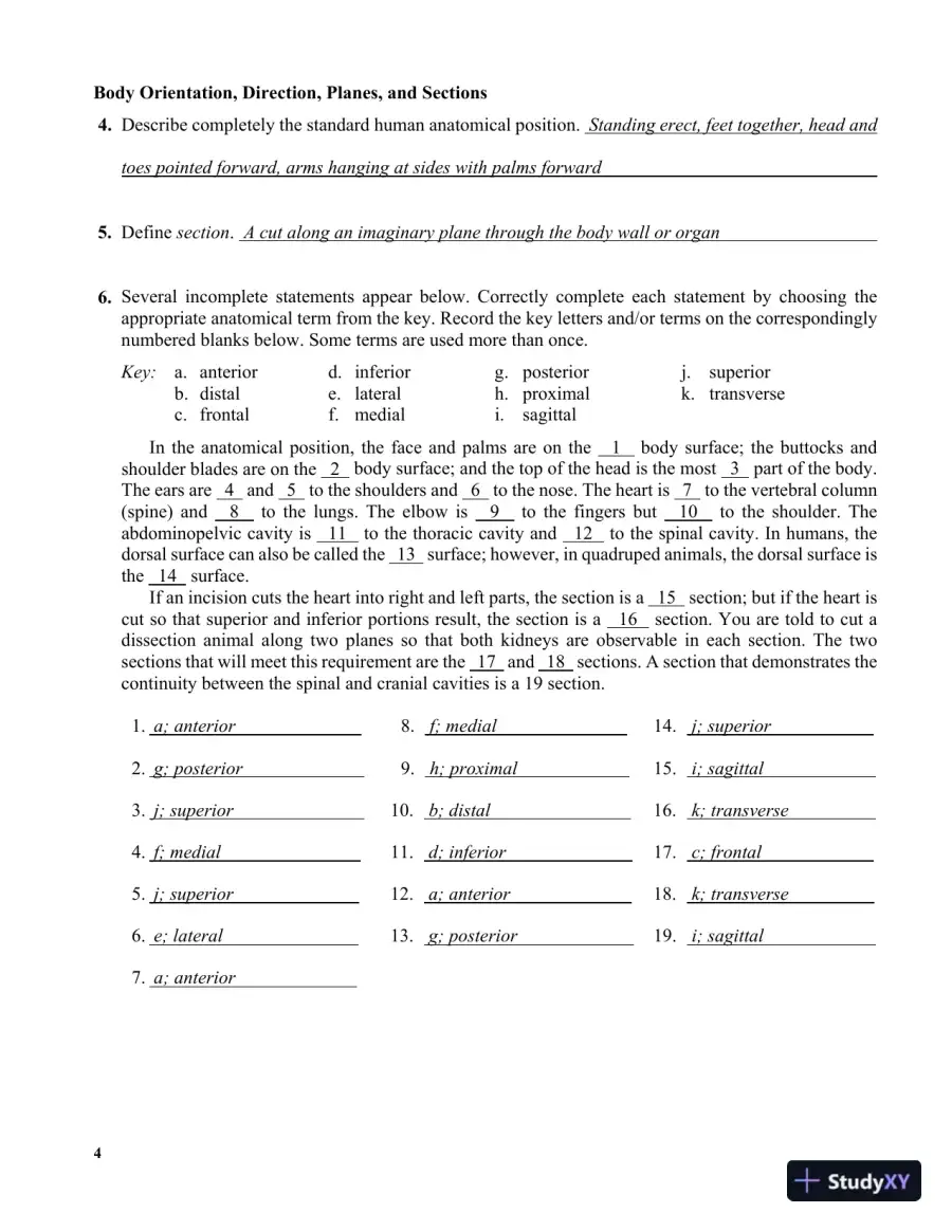 Solution Manual for Human Anatomy Laboratory Manual with Cat Dissections, 8th Edition, page 12
