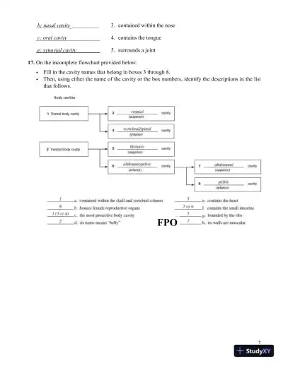 Solution Manual for Human Anatomy Laboratory Manual with Cat Dissections, 8th Edition - Page 15 preview image