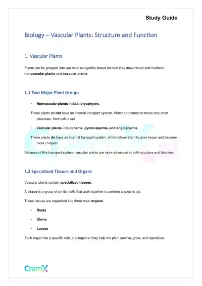 Biology - Vascular Plants Structure and Function - Page 1 preview image