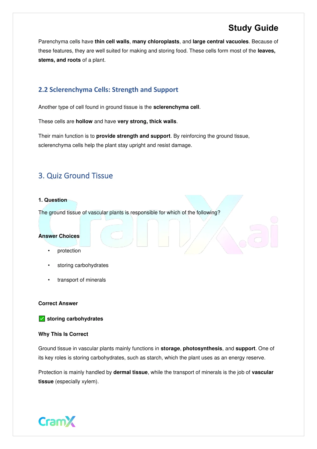 Biology - Vascular Plants Structure and Function - Page 3 preview image