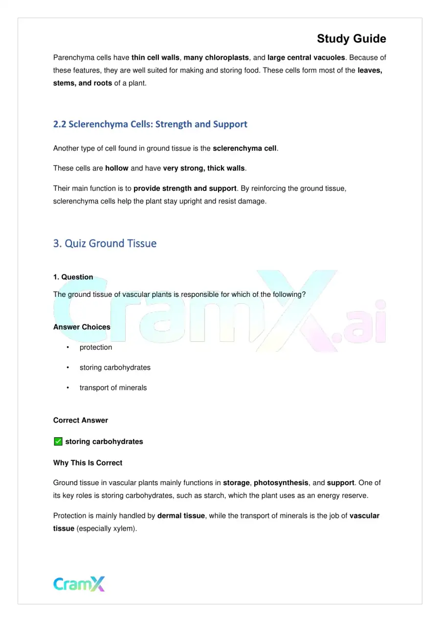 Biology - Vascular Plants Structure and Function, page 3