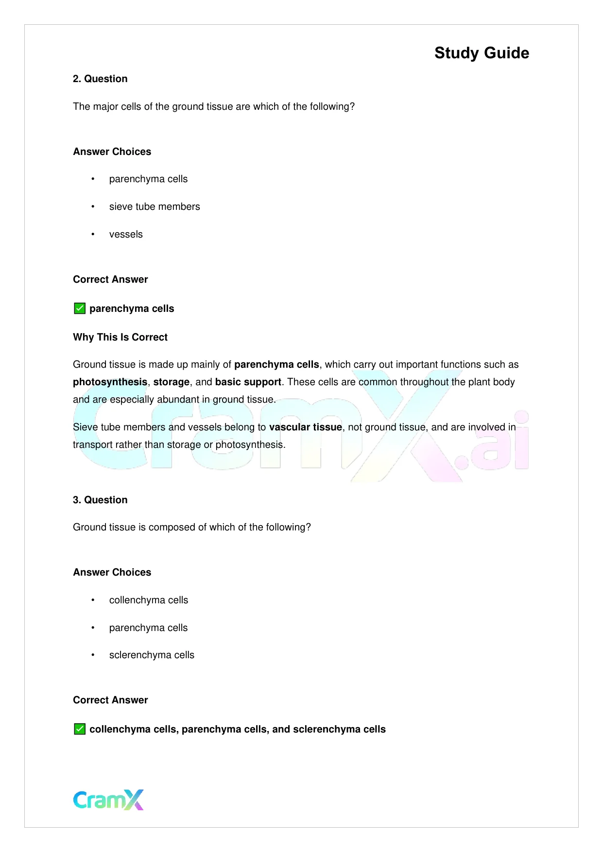 Biology - Vascular Plants Structure and Function - Page 4 preview image