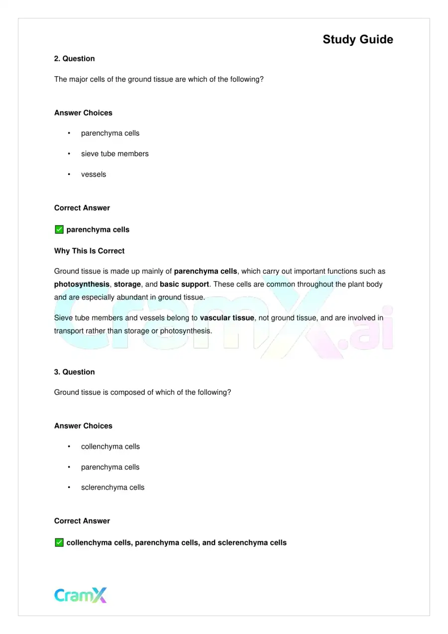 Biology - Vascular Plants Structure and Function, page 4
