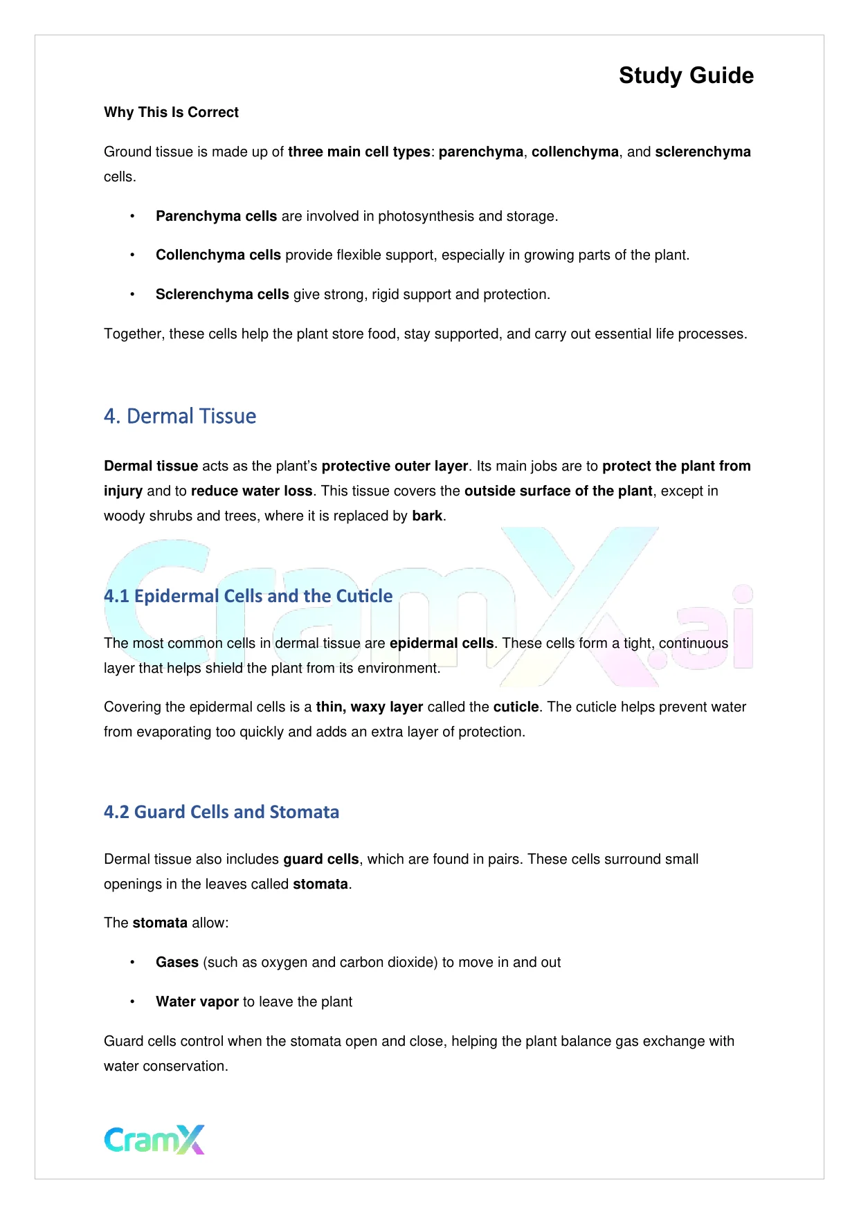 Biology - Vascular Plants Structure and Function - Page 5 preview image