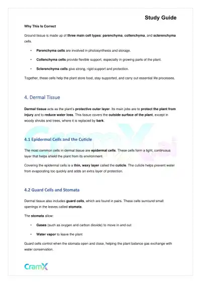 Biology - Vascular Plants Structure and Function - Page 5 preview image