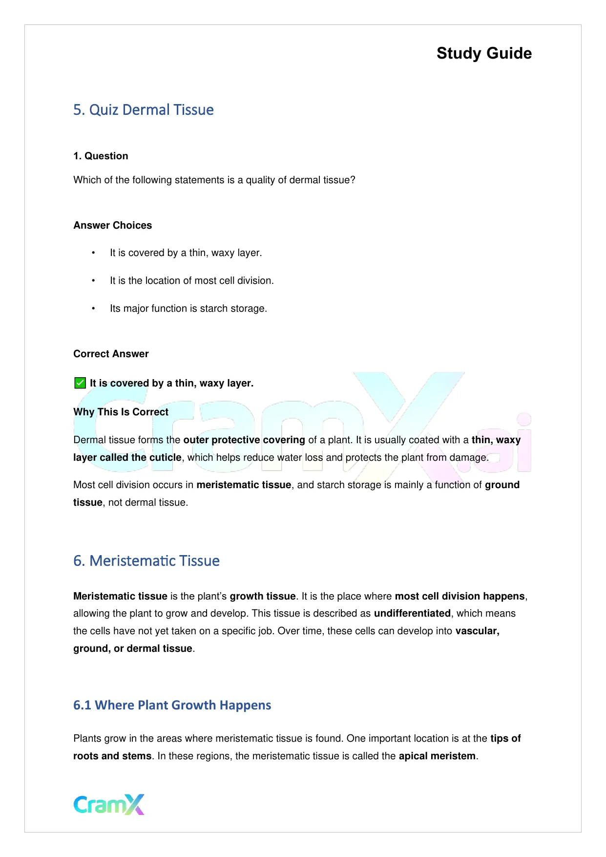 Biology - Vascular Plants Structure and Function - Page 6 preview image