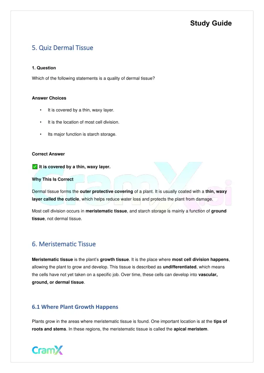 Biology - Vascular Plants Structure and Function, page 6