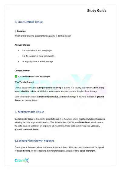 Biology - Vascular Plants Structure and Function - Page 6 preview image