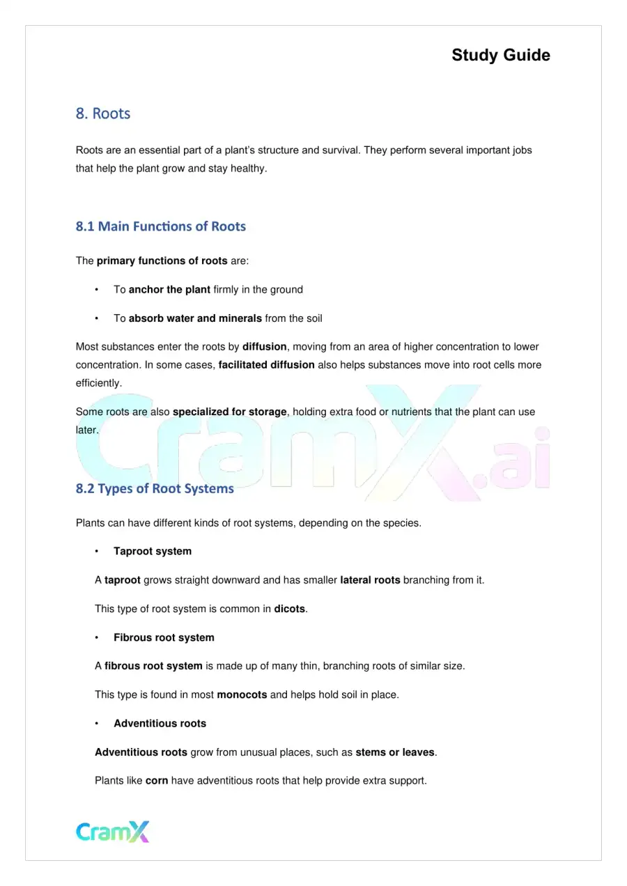 Biology - Vascular Plants Structure and Function, page 8