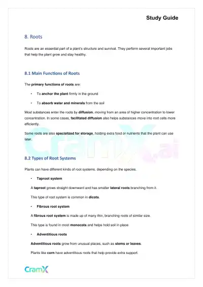 Biology - Vascular Plants Structure and Function - Page 8 preview image