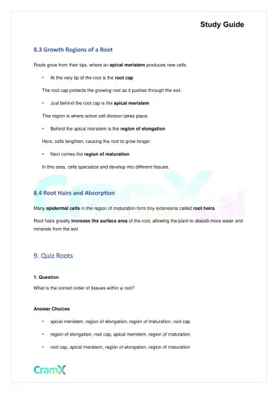 Biology - Vascular Plants Structure and Function - Page 9 preview image