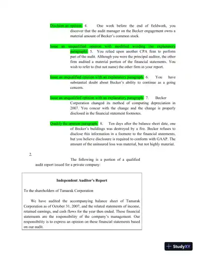 ACC 209 Auditing Exam 1 - Page 3 preview image