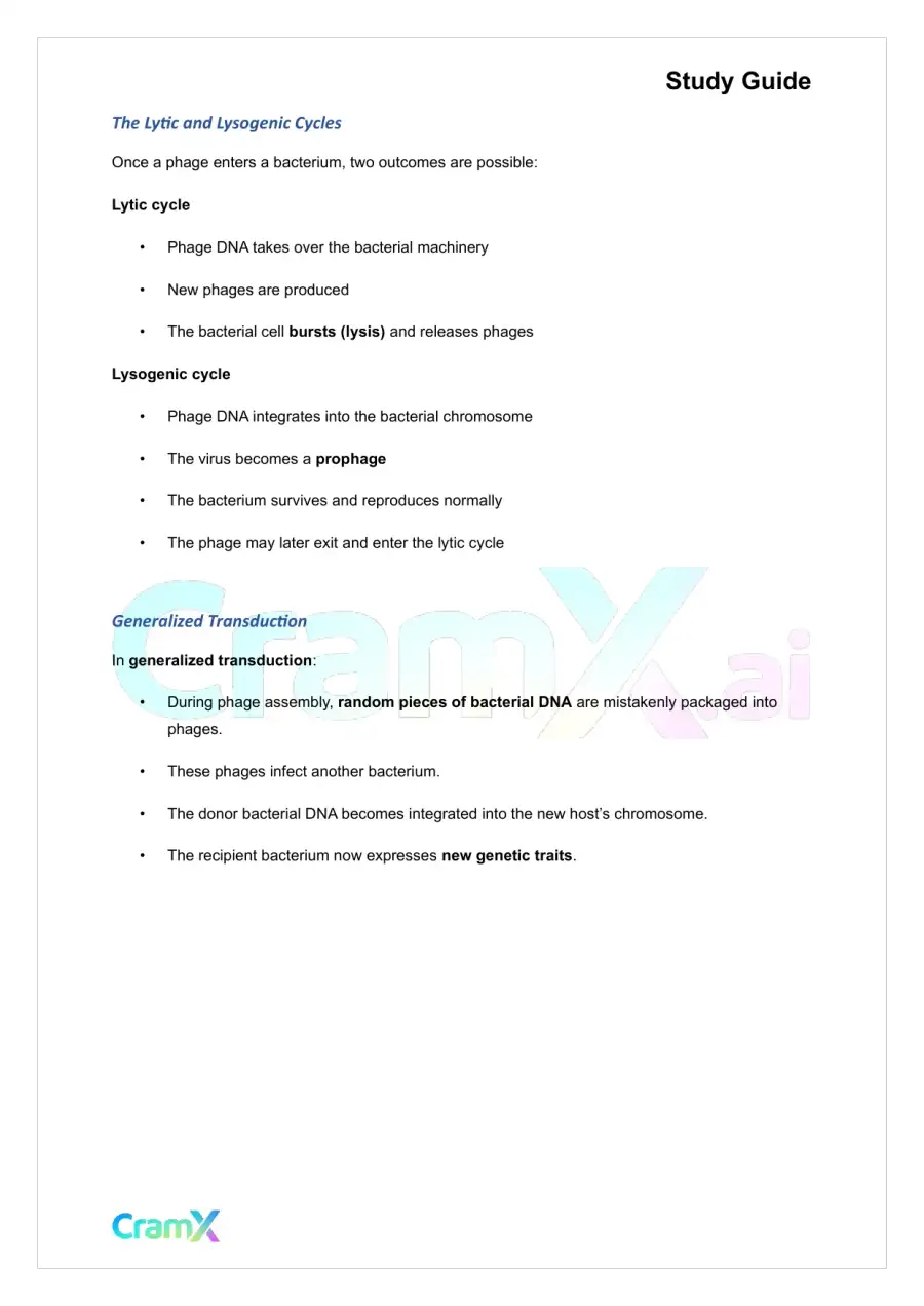 Microbiology - Microbial Genetics, page 4