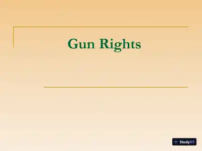 Gun Rights - Page 1 preview image