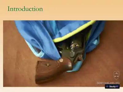 Gun Rights - Page 3 preview image