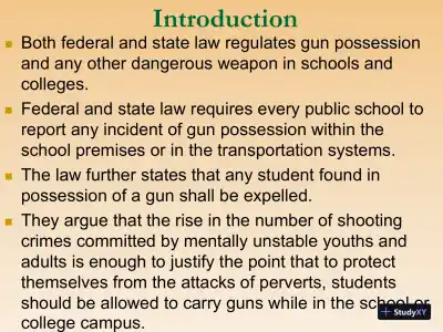 Gun Rights - Page 4 preview image